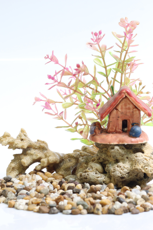 Kuis Alkitab Dasar (3)