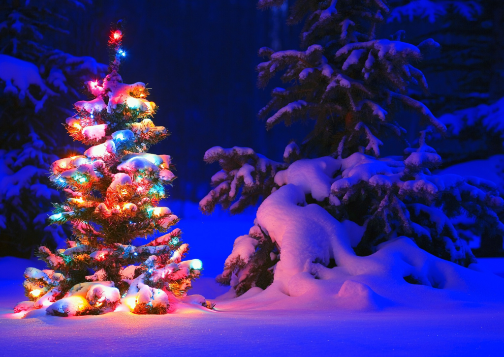 Kuis Natal: Asah Memori